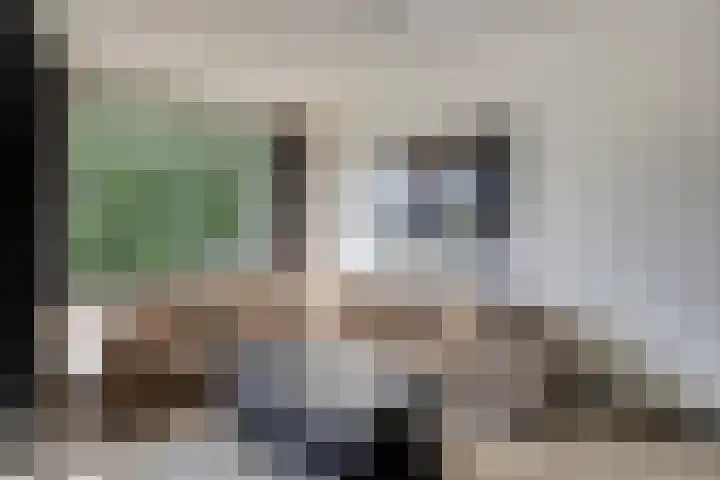 Lidwinahof 121 Best thumbnail 15