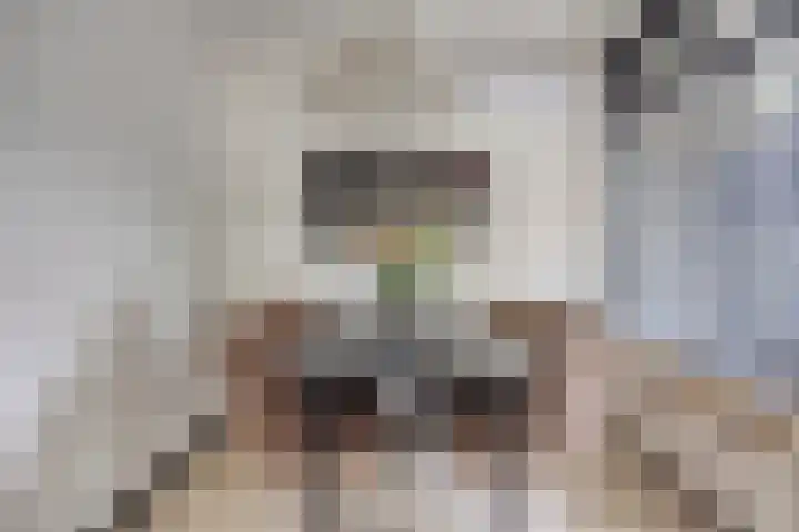 Lidwinahof 121 Best thumbnail 16