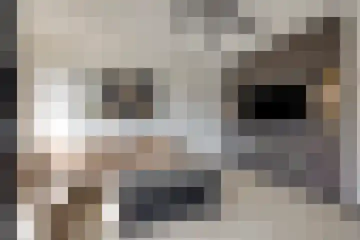 Lidwinahof 121 Best thumbnail 17
