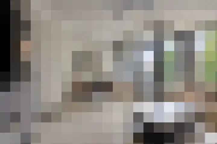 Lidwinahof 121 Best foto 2