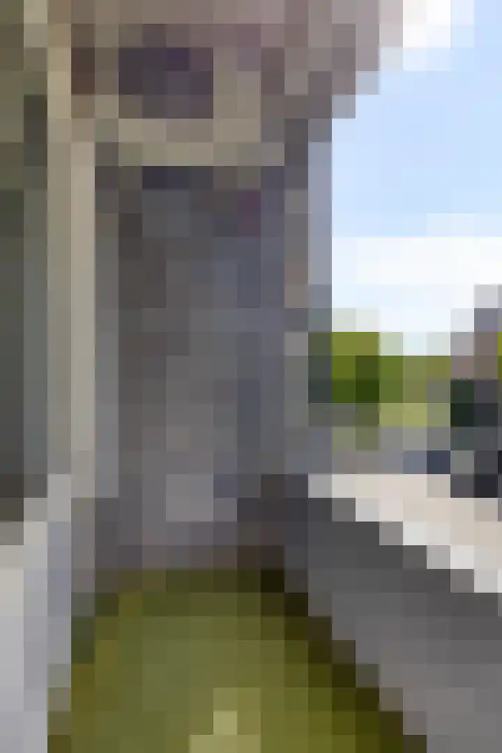 Lidwinahof 121 Best thumbnail 20