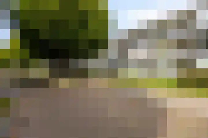 Lidwinahof 121 Best thumbnail 22