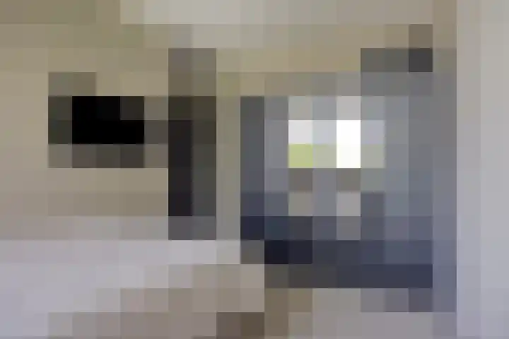 Lidwinahof 121 Best thumbnail 26