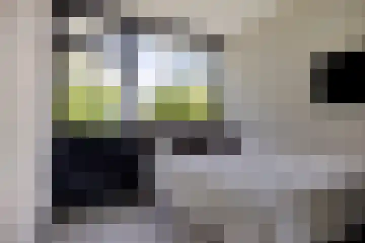 Lidwinahof 121 Best thumbnail 27