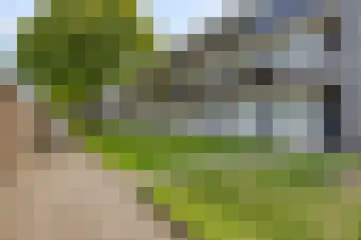 Lidwinahof 121 Best thumbnail 28