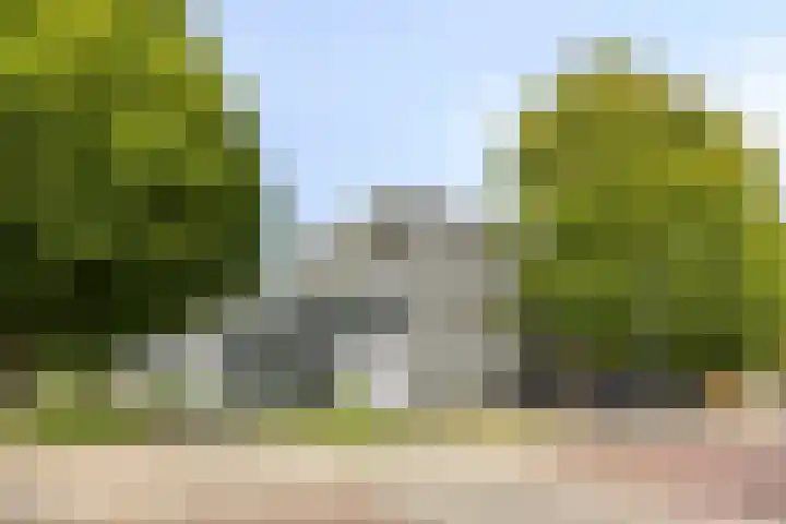 Lidwinahof 121 Best thumbnail 30