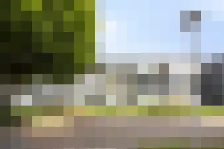 Lidwinahof 121 Best thumbnail 31