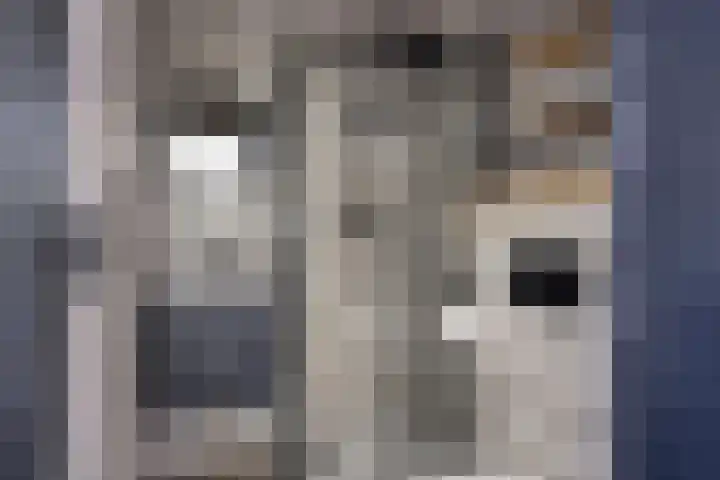 Lidwinahof 121 Best thumbnail 4