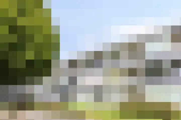 Lidwinahof 121 Best thumbnail 5