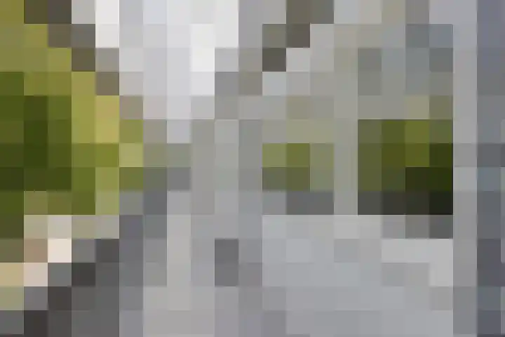 Lidwinahof 121 Best thumbnail 8