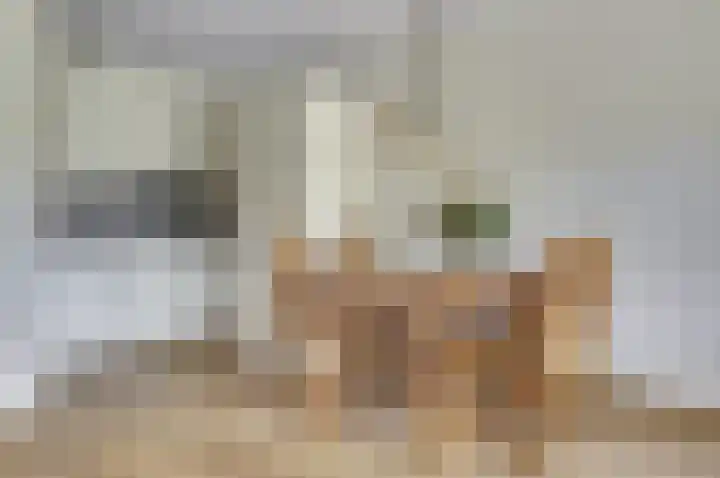 Lidwinahof 16 Best thumbnail 12