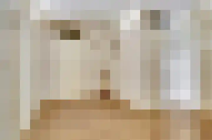 Lidwinahof 16 Best thumbnail 15