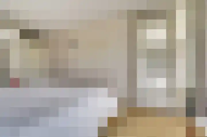 Lidwinahof 16 Best thumbnail 19