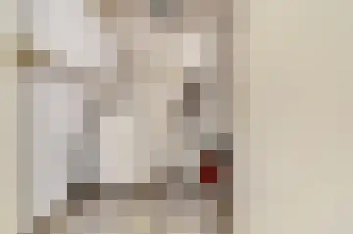 Lidwinahof 16 Best thumbnail 26