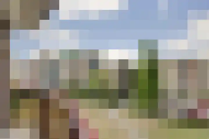 Lidwinahof 16 Best thumbnail 28