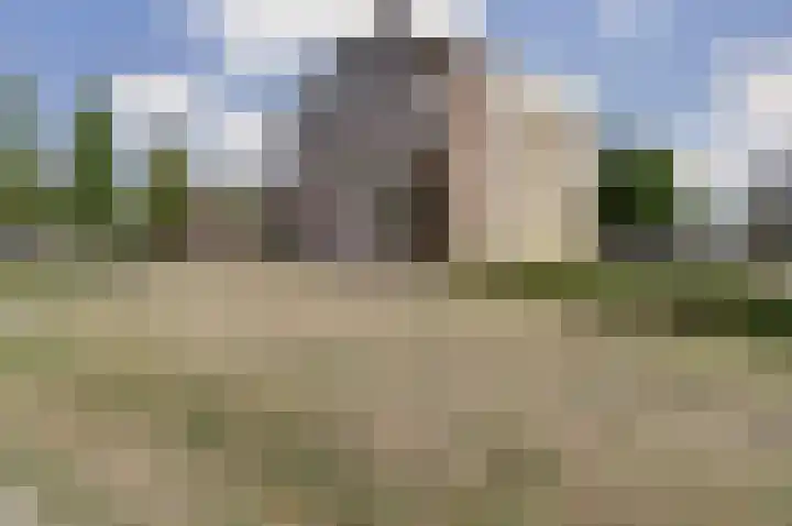 Lidwinahof 16 Best thumbnail 31