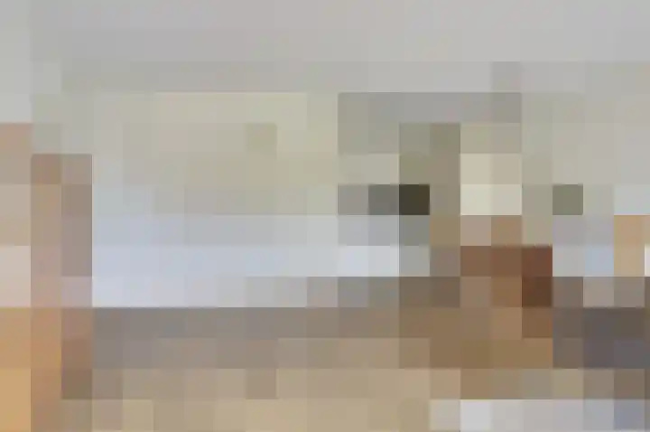 Lidwinahof 16 Best thumbnail 9