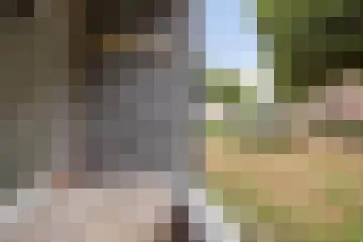 Lidwinahof 21 Best thumbnail 10