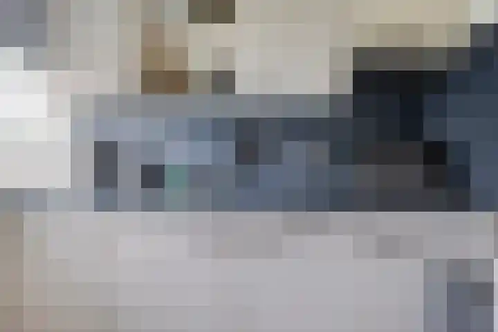 Lidwinahof 21 Best thumbnail 11