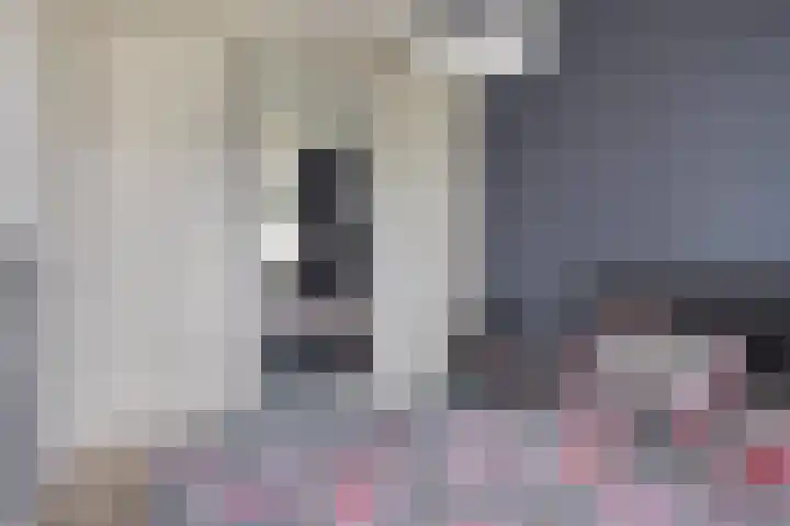 Lidwinahof 21 Best thumbnail 14