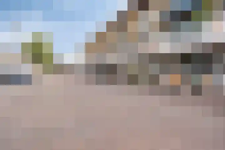 Lidwinahof 21 Best thumbnail 15