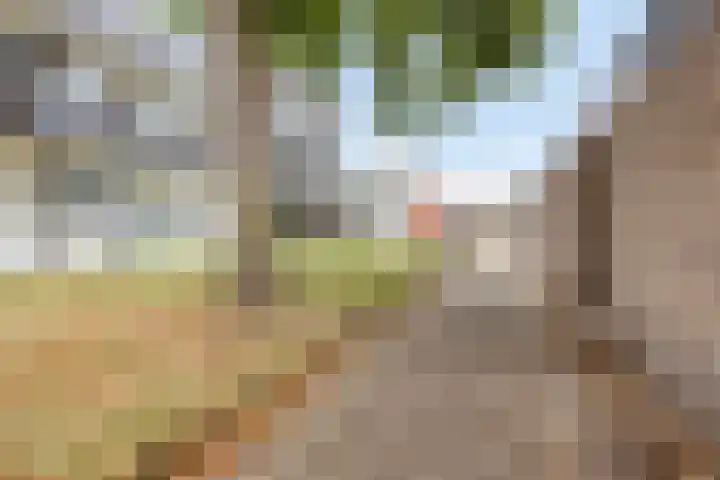 Lidwinahof 21 Best thumbnail 4