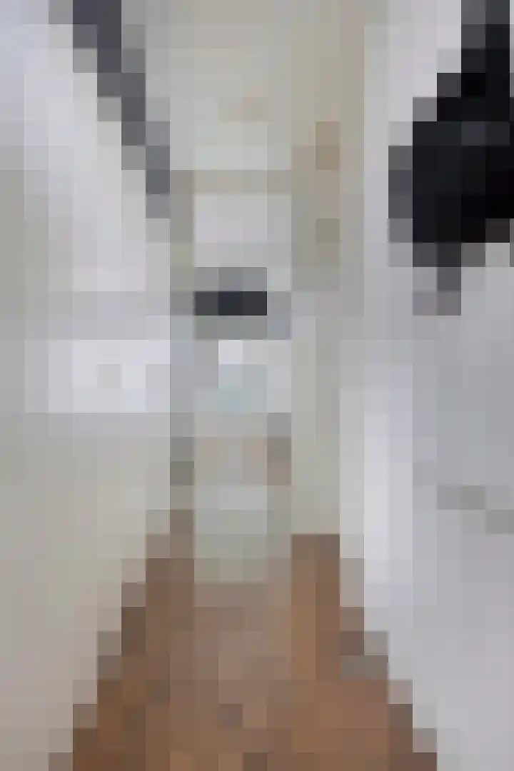 Lidwinahof 21 Best thumbnail 6