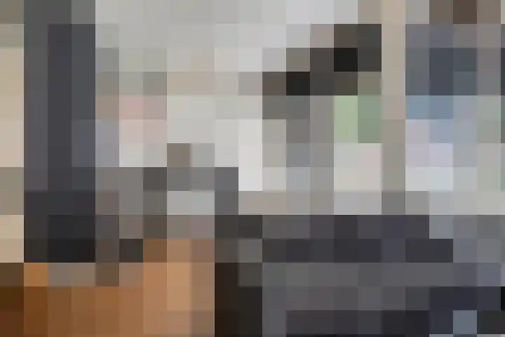 Lidwinahof 21 Best thumbnail 8
