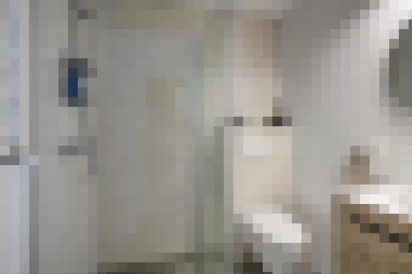 Lidwinahof 27 Best thumbnail 15