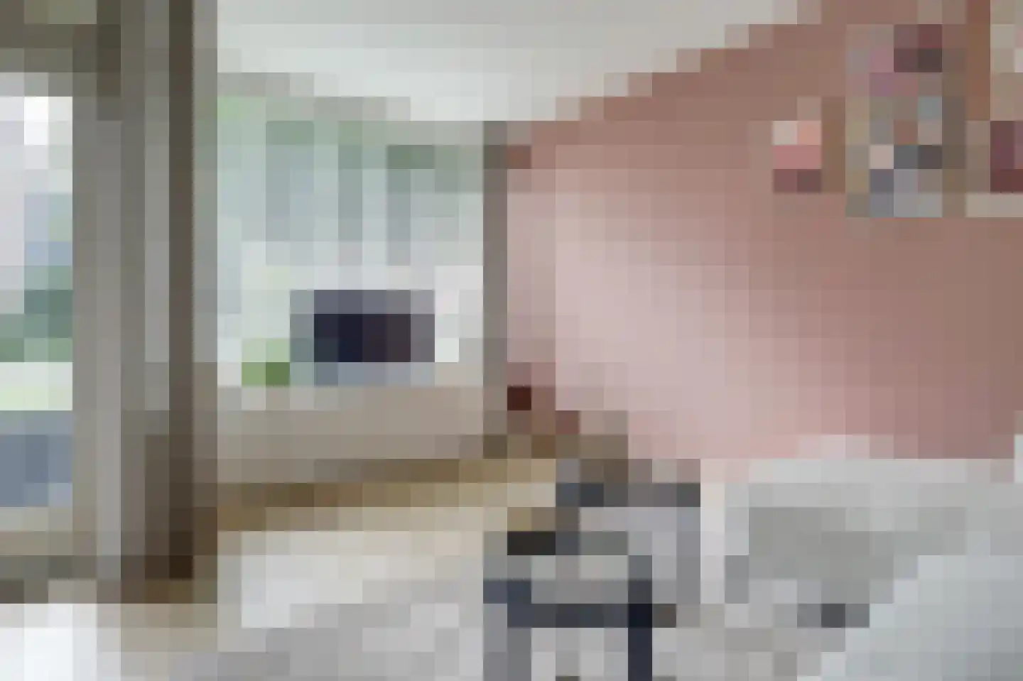 Lidwinahof 27 Best foto 3