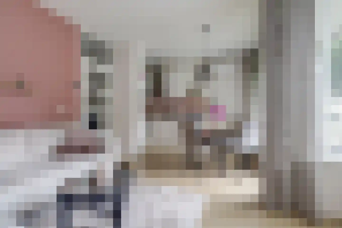 Lidwinahof 27 Best thumbnail 4