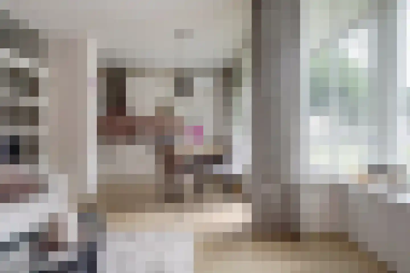 Lidwinahof 27 Best thumbnail 5