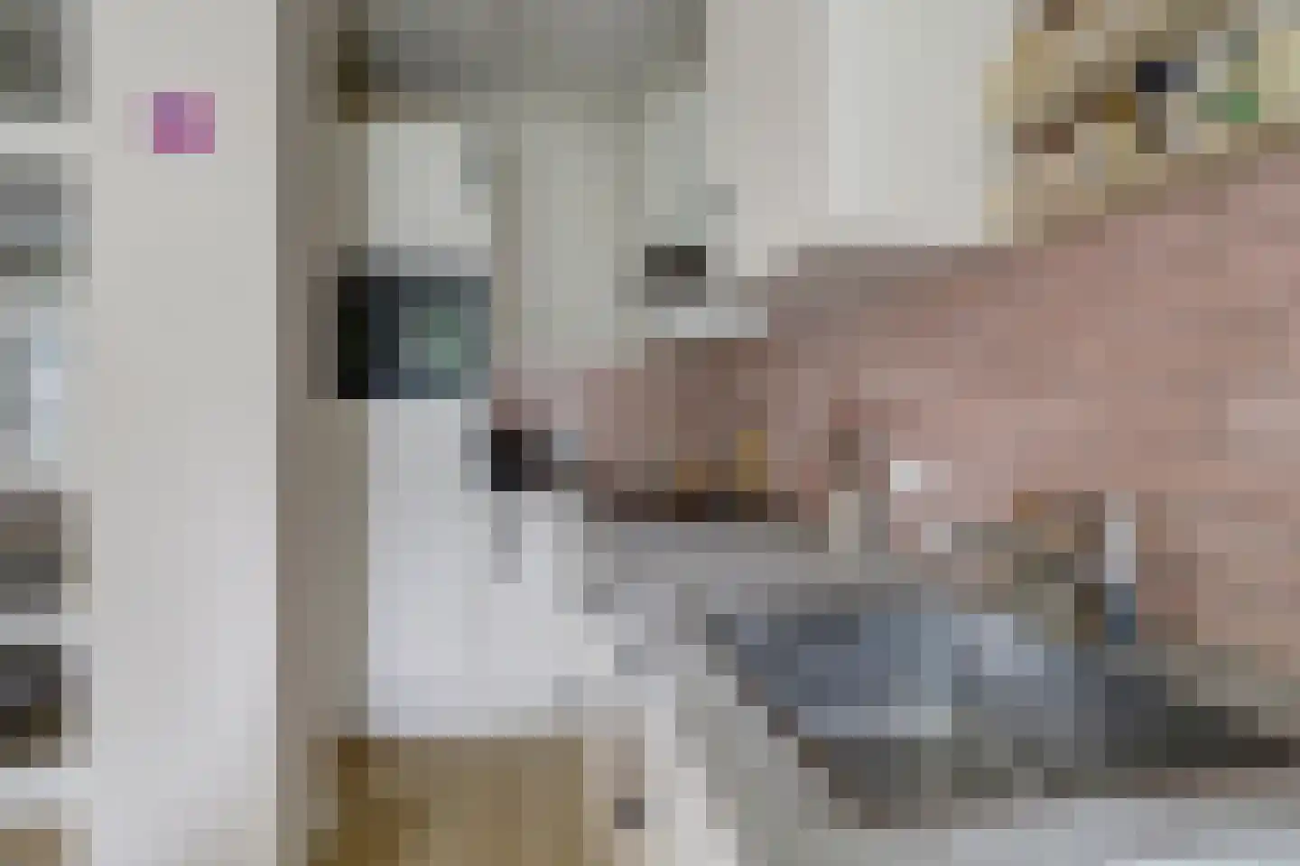 Lidwinahof 27 Best thumbnail 8