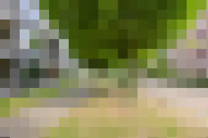 Lidwinahof 65 Best thumbnail 16