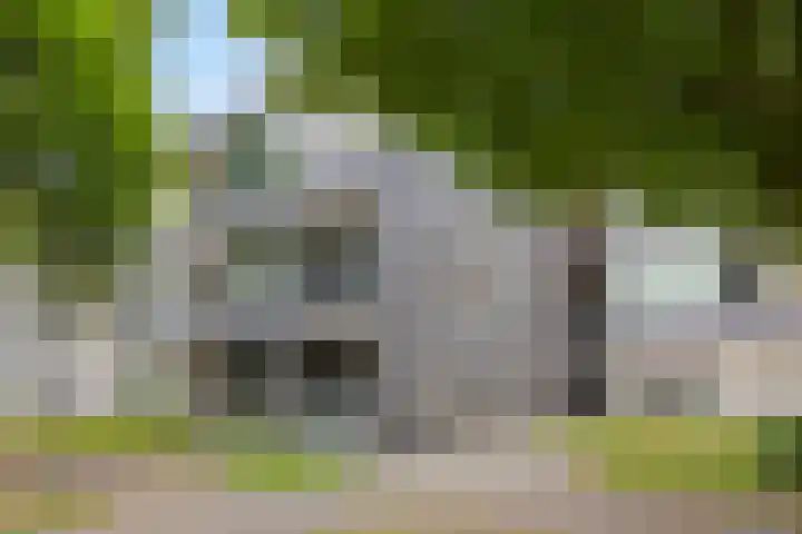 Lidwinahof 65 Best foto 2