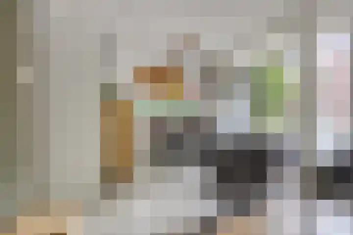 Lidwinahof 65 Best thumbnail 6