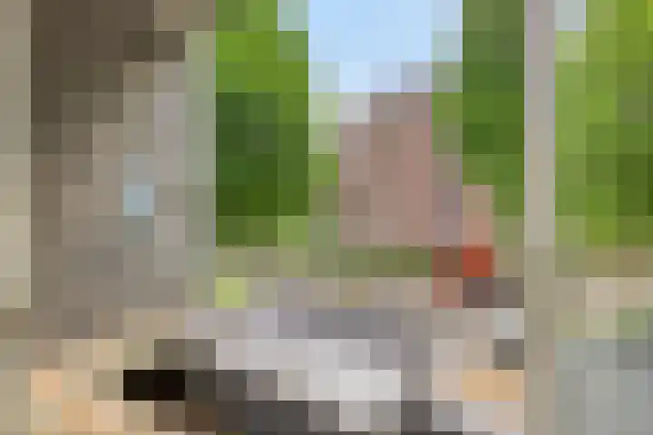 Lidwinahof 65 Best thumbnail 8