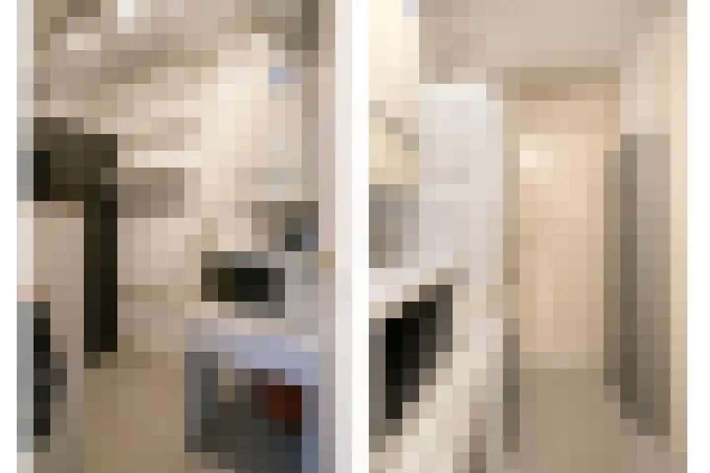 Lidwinahof 74 Best thumbnail 37
