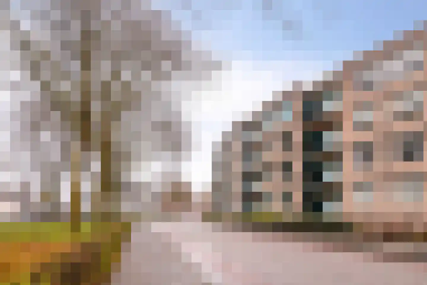 Lidwinahof 74 Best thumbnail 50