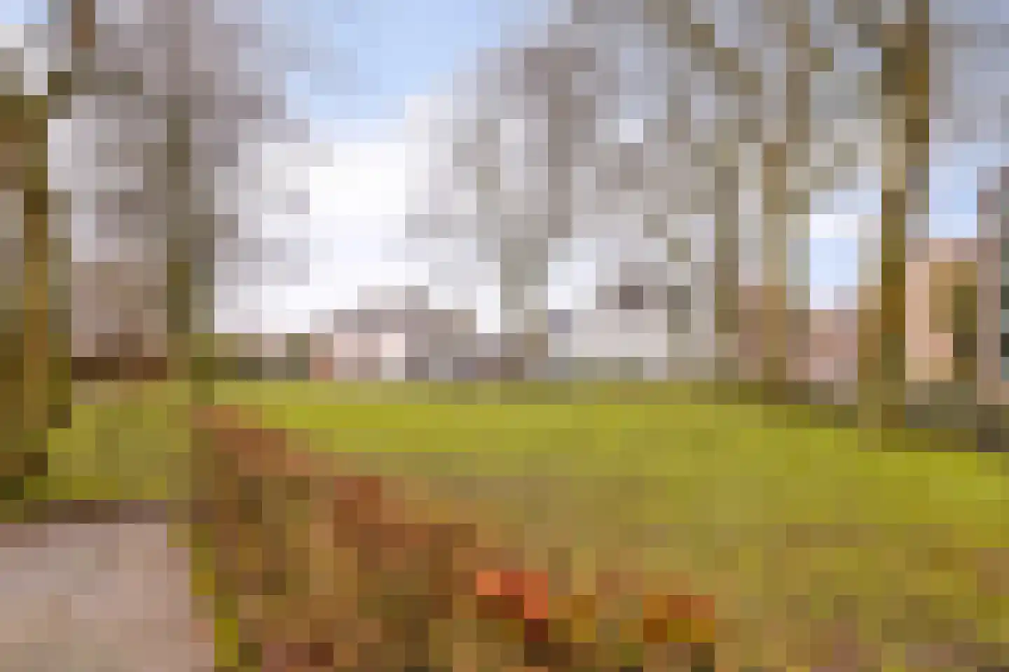 Lidwinahof 74 Best thumbnail 51