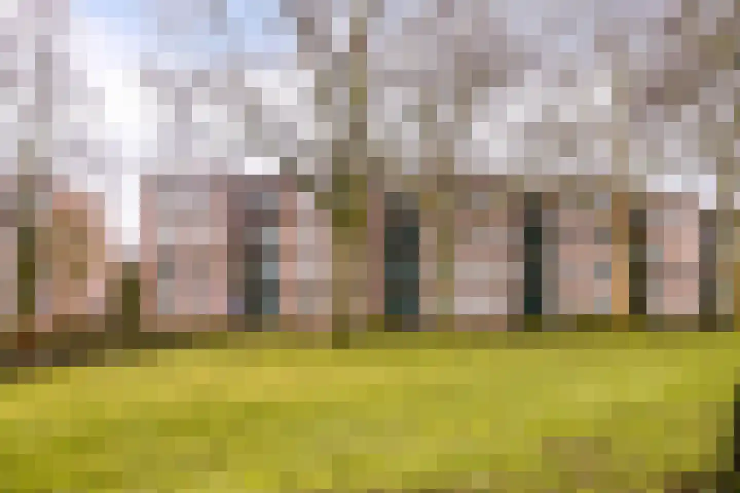 Lidwinahof 74 Best thumbnail 53
