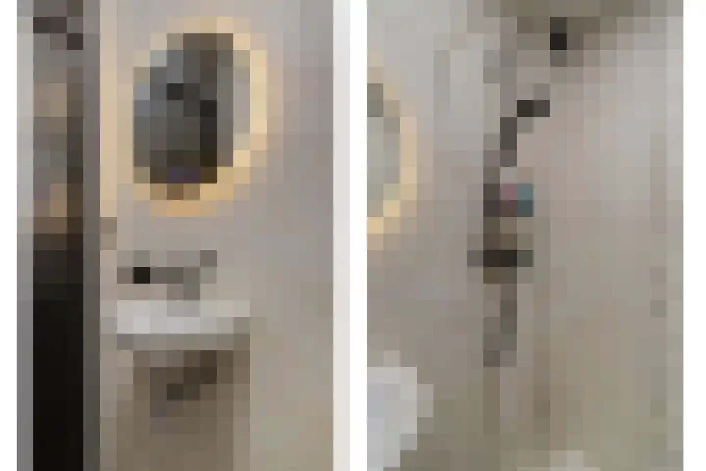 Lidwinahof 77 Best thumbnail 18
