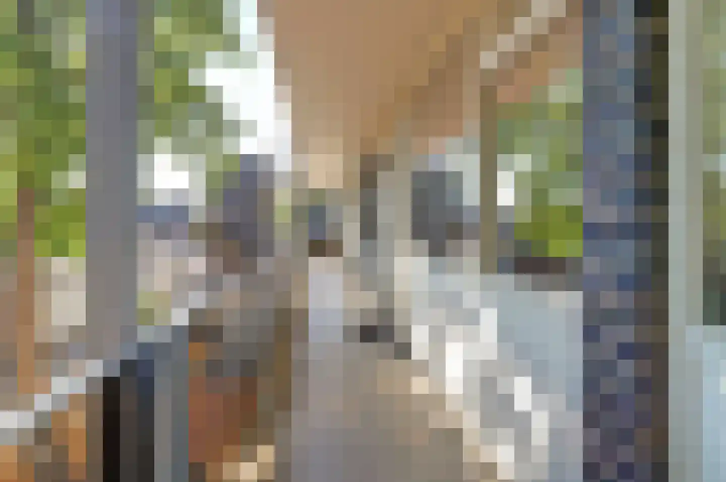 Lidwinahof 77 Best thumbnail 25