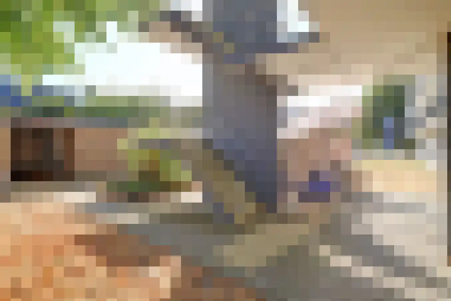 Lidwinahof 77 Best thumbnail 29
