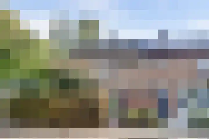 Lidwinastraat 10 Bemmel
