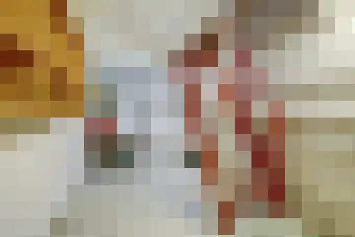 Lidwinastraat 10 Bemmel thumbnail 16