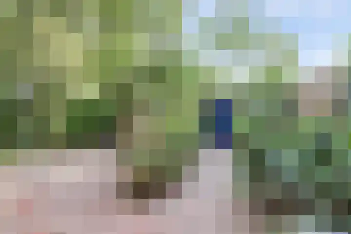 Lidwinastraat 10 Bemmel thumbnail 17
