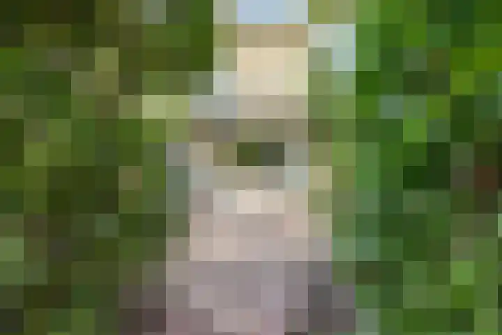 Lidwinastraat 10 Bemmel thumbnail 23