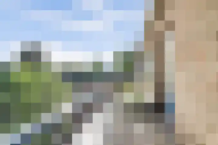 Lidwinastraat 10 Bemmel thumbnail 41