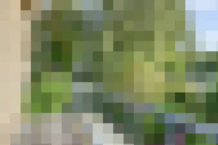 Lidwinastraat 10 Bemmel thumbnail 42